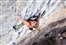 Hazel Findlay climbs Esclatamasters 9a
